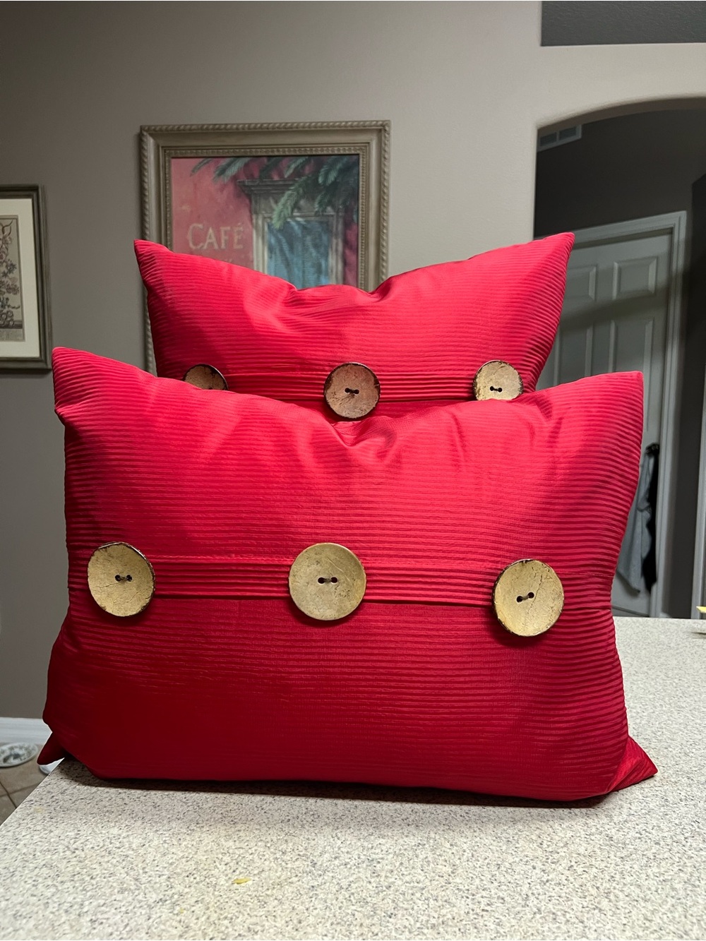 THRO by Marlo Lorenz Two Red Decorative Feather Pillows